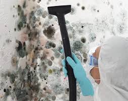 Asbestos and Lead Testing During Mold Inspection in Sunrise, FL